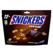 Snickers Chocolate Fun Size 12x20g