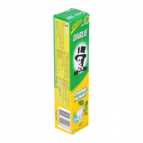 Darlie Fluoride Toothpaste 100g - Double Action Mint 